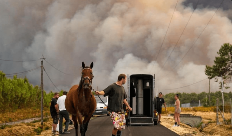 Faune sauvage et incendie en Gironde : le bilan que personne ne peut encore chiffrer.