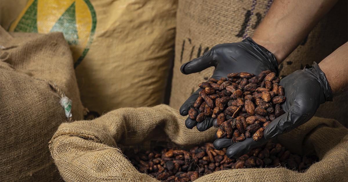 Cooperativa Expocacer faz exportação inédita de café naturalmente descafeinado para o Japão