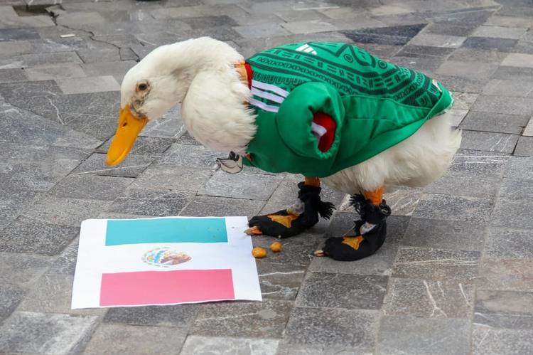 Pato Merlín se corona como el nuevo embajador viral de México en el Mundial 2026