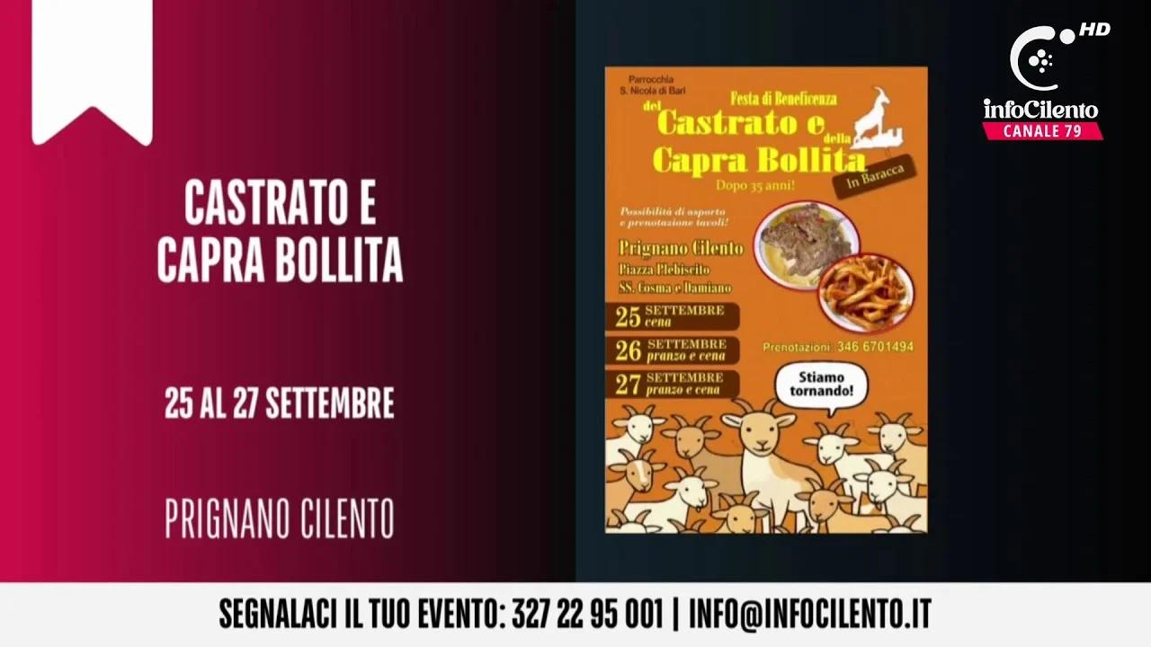 Tg InfoCilento 24 settembre 2026, edizione delle 19:55
