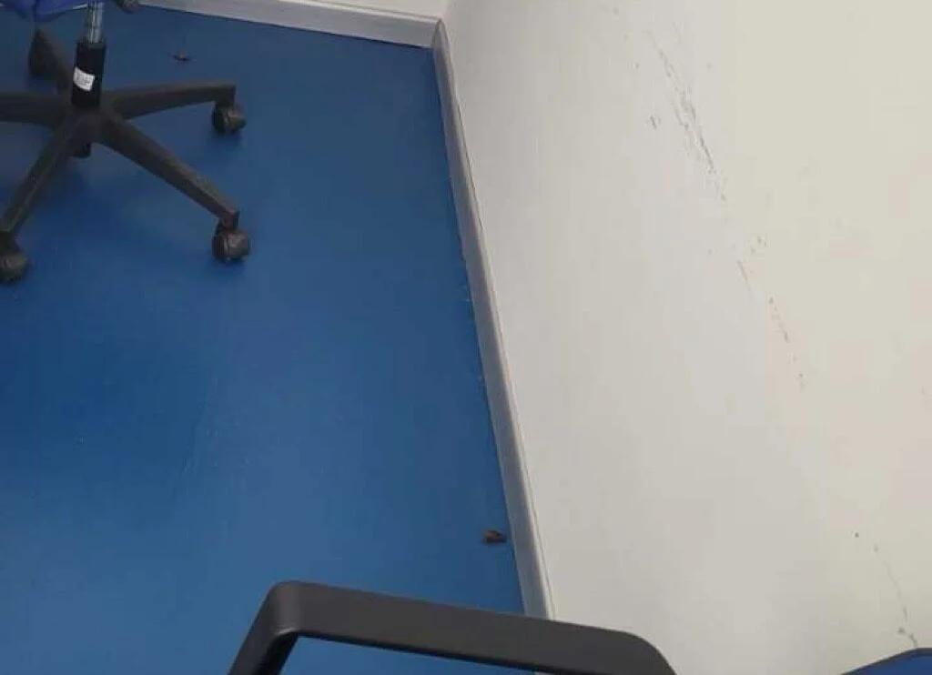 Blatte e degrado al Collocamento Mirato di Salerno: la protesta dei lavoratori