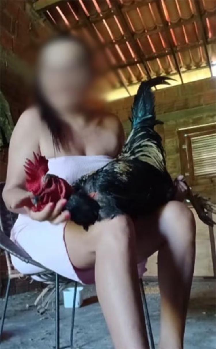 Mulher é presa no RN suspeita de torturar e matar animais e vender conteúdo pela internet