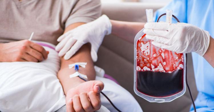 Quer doar sangue? Veja as novas regras e como moradores de BC e Itajaí podem ir de graça ao Hemosc