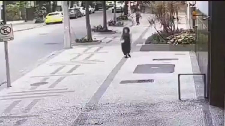 Polícia prende integrante de quadrilha que atacou arqueóloga no Leblon