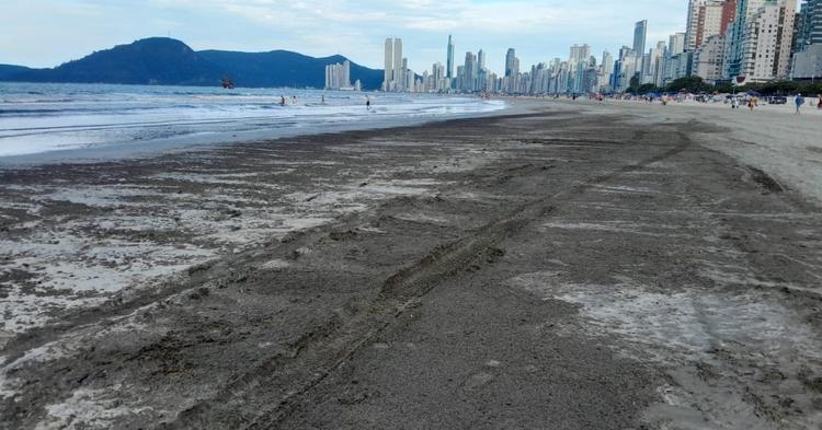 Vídeo: algas voltam a aparecer com intensidade na Praia Central de Balneário Camboriú