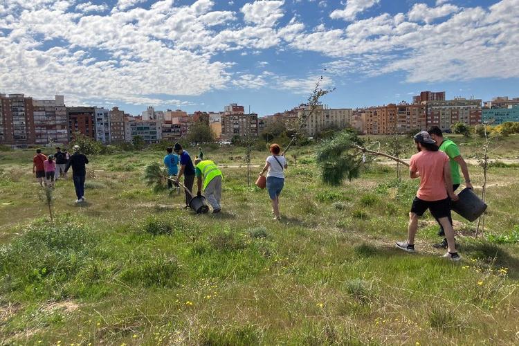 La Plataforma Laudato Si´ invita a la acción y la oración en comunidad