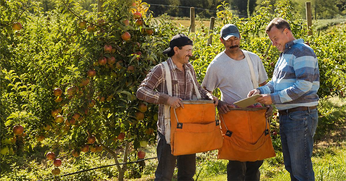 Cooperativas avançam e redesenham o financiamento do agro brasileiro