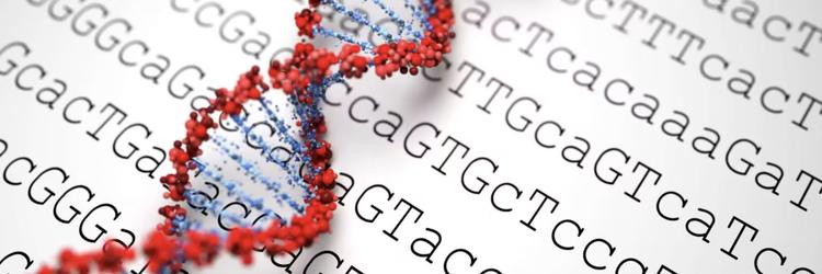 Exoma analisa apenas de 1% a 2% do DNA; genoma completo pode revelar alterações que o primeiro não detecta