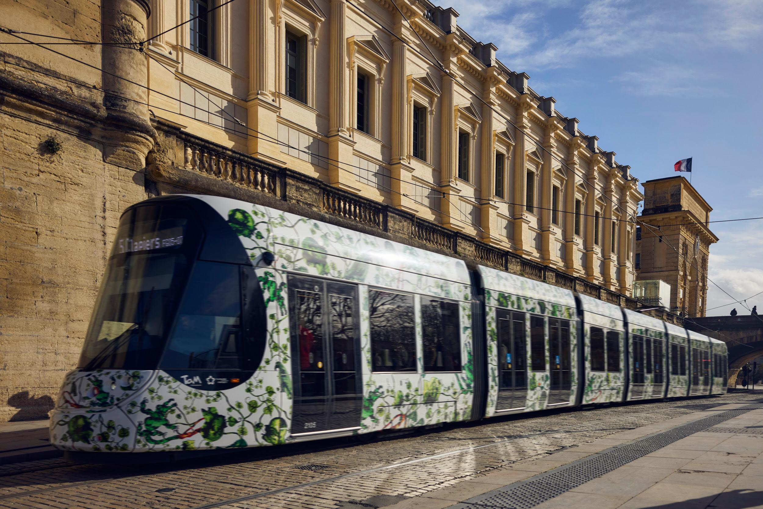 Ligne 5 renforcée et bus adaptés : le réseau TaM fait sa rentrée le 31 août