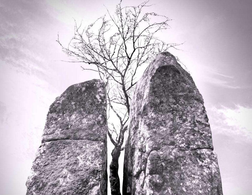 Il richiamo del Cilento: la fotografia di Ottavio Celestino inaugura l’estate di Giacaranda