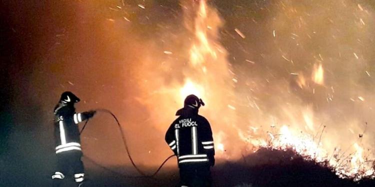Da giugno 7500 ettari a fuoco in Calabria, enormi rischi per l'ecosistema