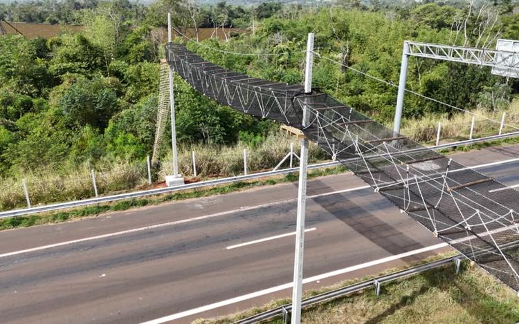 Região de Ribeirão Preto, SP, ganha passagem aérea para animais silvestres sobre rodovia