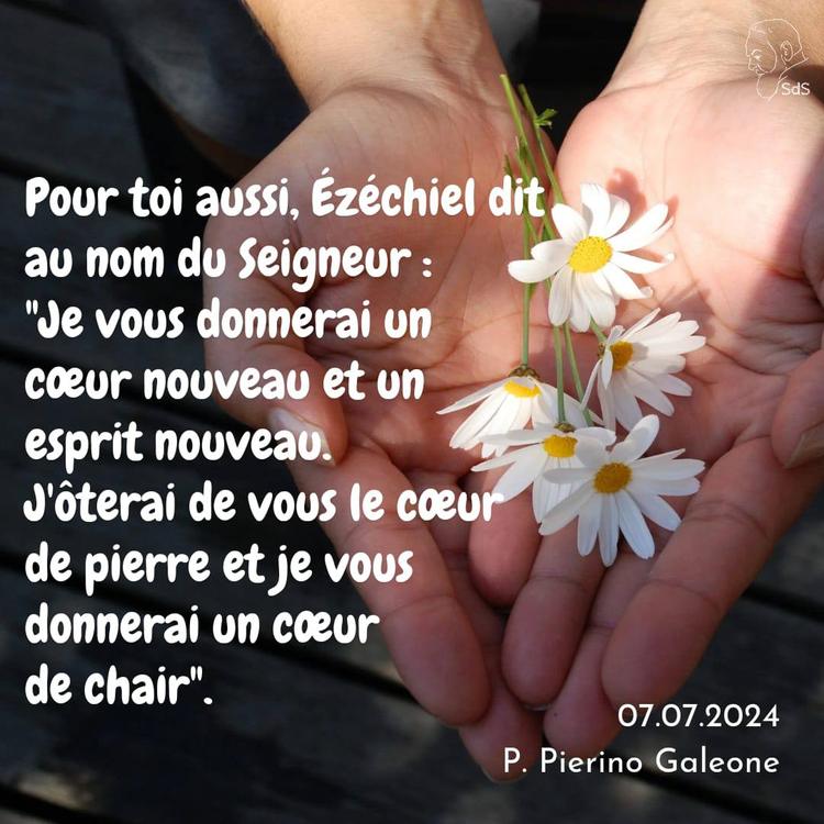 07.07.24
Pour toi aussi, Ézéchiel dit au nom du Seigneur : "Je vous donnerai un cœur nouveau et un esprit nouveau. J'ôterai de vous le cœur de pierre et je vous donnerai un cœur de chair".

Père Pierino Galeone