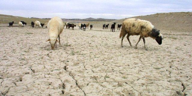 Maroc, les hammams frappés par la sécheresse