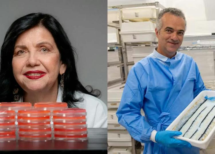 ‘Nós não fazemos ciência no Brasil, fazemos milagre’, diz pesquisadora que está na lista da Time