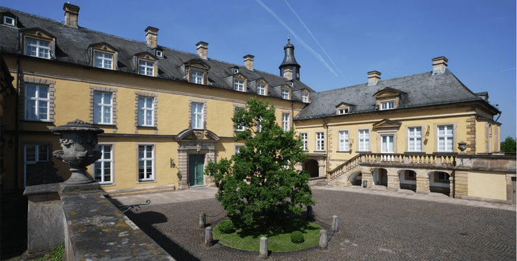  Baum im Innenhof von Schloss Friedrichstein