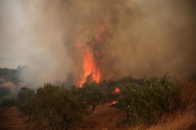 Helicópteros militares colidem no ar durante combate a incêndios florestais na Grécia