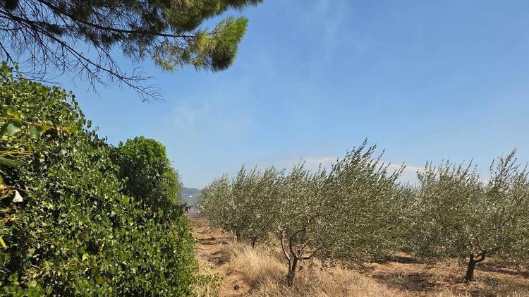 Gard : un incendie à Saint-Gervasy