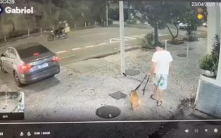 Polícia Civil do Rio indicia homem por suspeita de afogar cachorro no mar em Copacabana