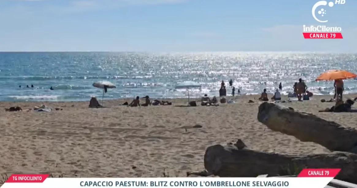 Tg InfoCilento 19 agosto 2026