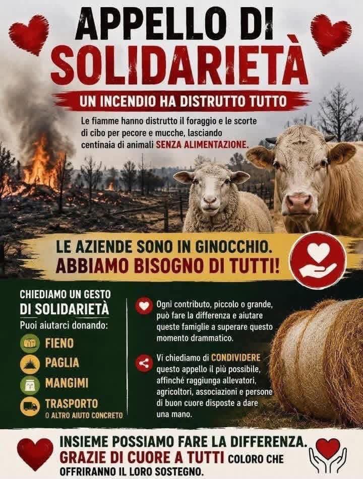❤️ APPELLO DI SOLIDARIETÀ PER CASTRONOVO DI SICILIA L’Amministrazione Comunale di Roccapalumba invita tutta la comunità...