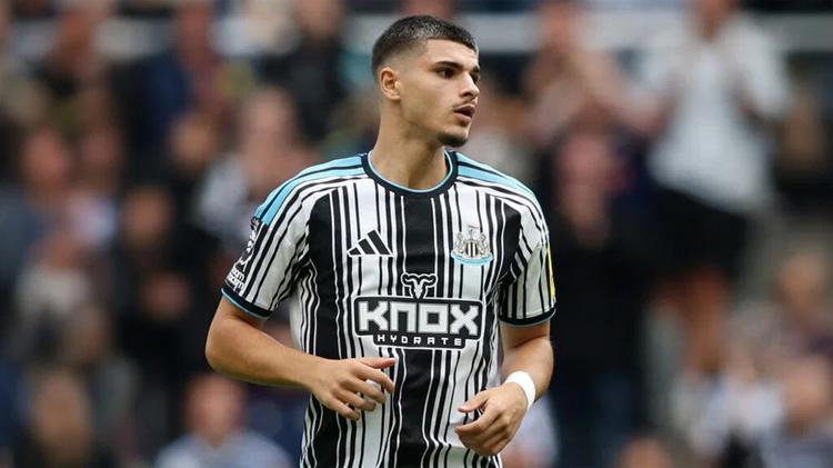 Matias Fernandez-Pardo Newcastle United