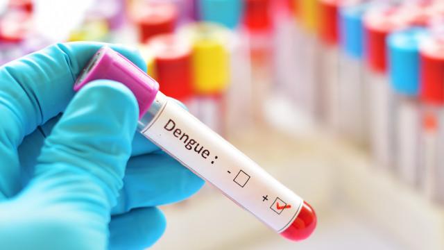 Dengue: Américas podem registrar pior surto da história, alerta Opas