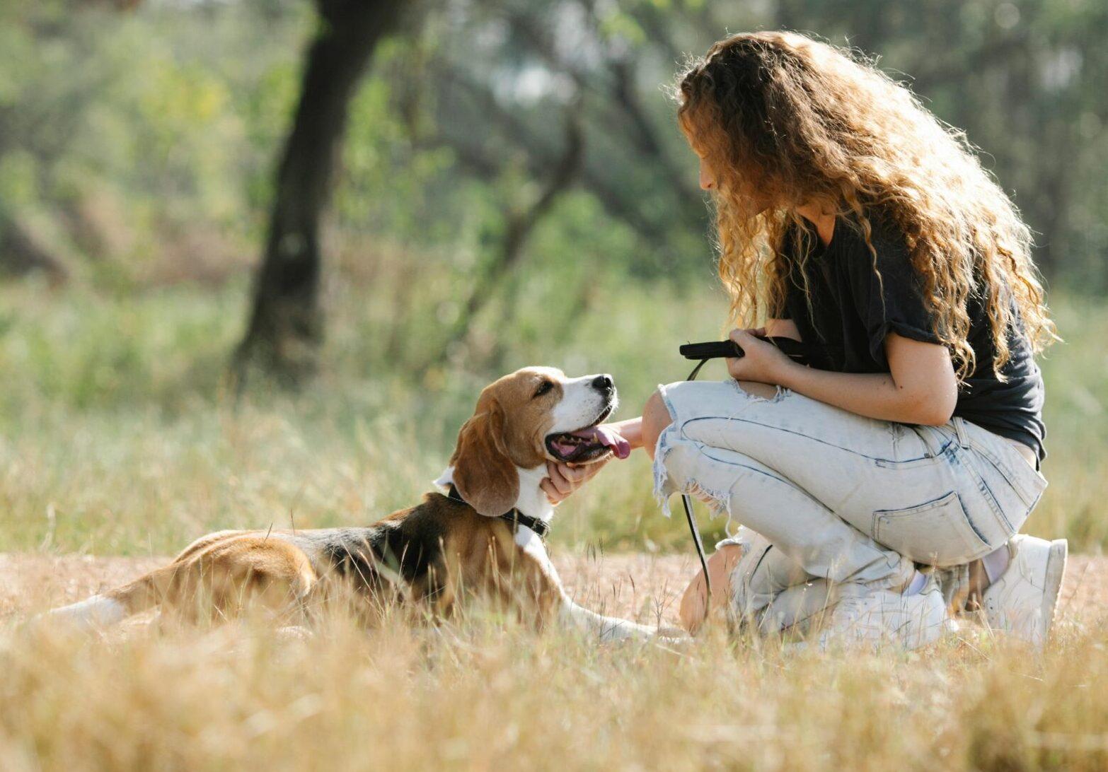Montpellier, ville «&nbsp;dog-friendly&nbsp;» : 48 rendez-vous gratuits pour éduquer votre chien