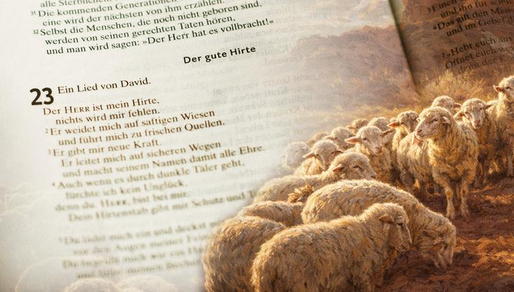Beten mit den Psalmen