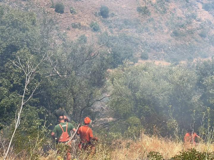 Esprimo la mia più sincera solidarietà umana e istituzionale all'amico forestale Emilio, nostro concittadino, che impegn...