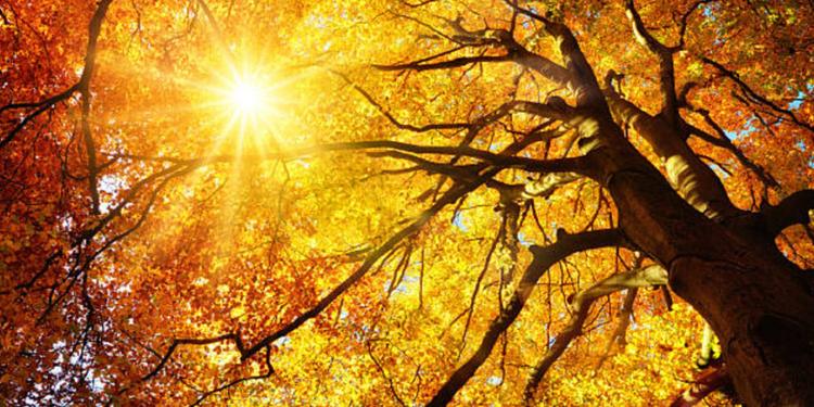 Meteo, fine settimana all'insegna dell'Ottobrata. Poi arrivano le piogge