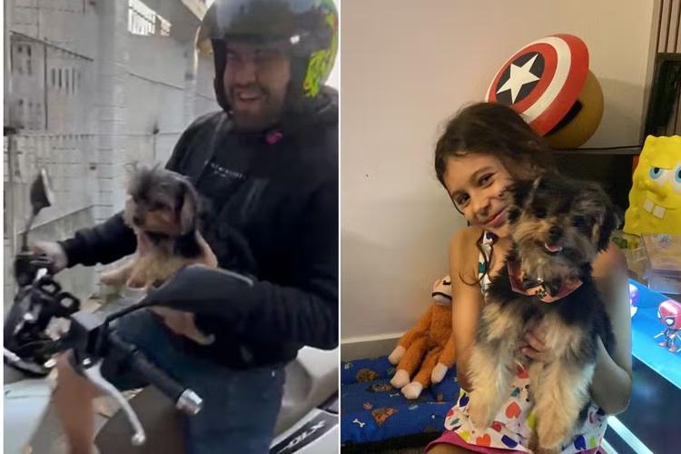 Cão furtado por criança é devolvido à família 'muito assustado', diz tutora; VÍDEO