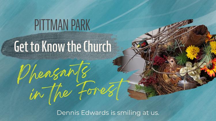 Get to Know the Church: Pheasants in the Forest