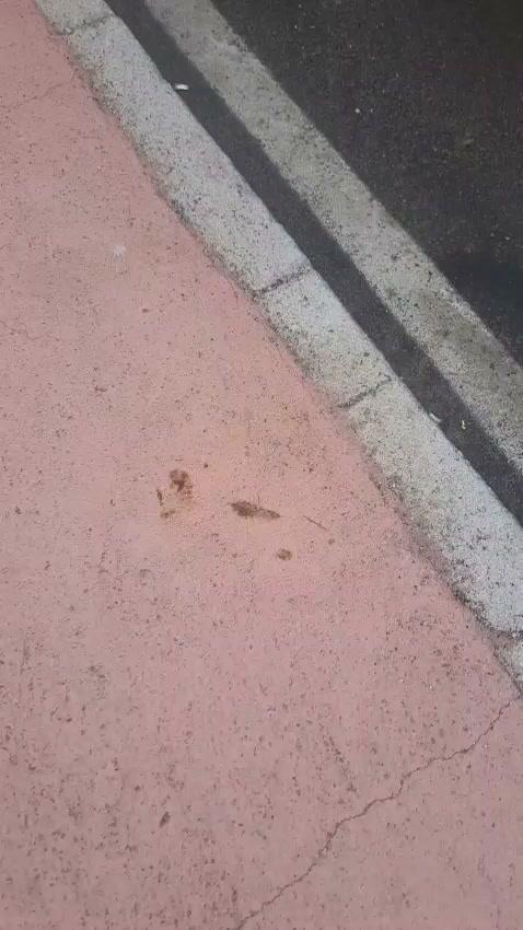 Buongiorno 🌞 a seguito di segnalazioni pervenute ieri mercoledì 7 ottobre, oggi la ditta Dusty Srl ha provveduto al lav...
