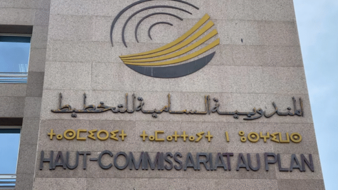 الحكومة تحول مندوبية التخطيط إلى هيئة حكامة جيدة