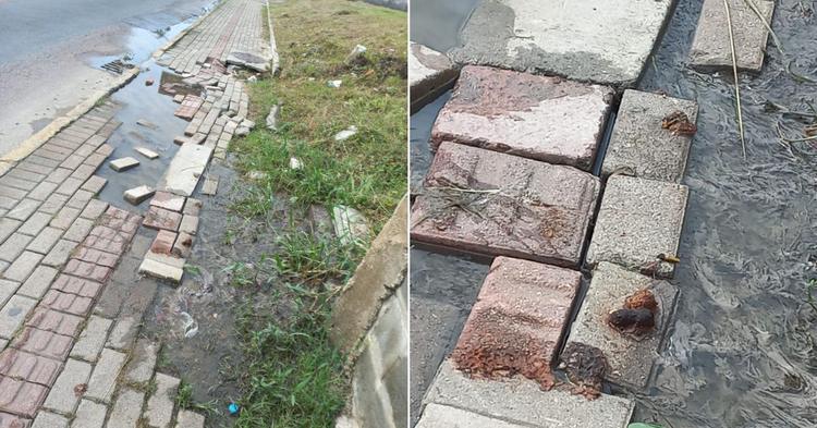 Esgoto a céu aberto causa mau cheiro e dificulta passagem de pedestres em Camboriú; falha é em rede da Emasa