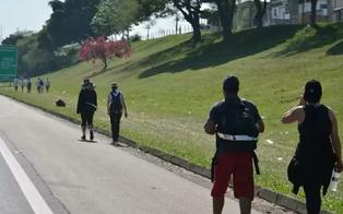 Romeiro de 15 anos é atropelado por caminhão a caminho do Santuário Nacional de Aparecida