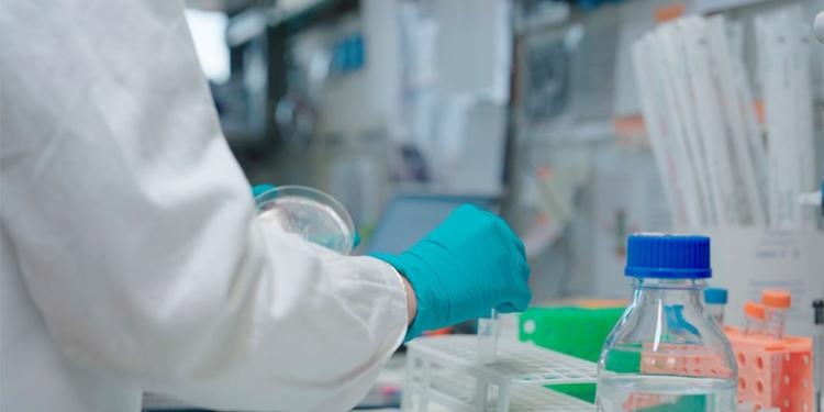 Ricerca, la Calabria che vince: i tre Atenei regionali confermano il loro ruolo nazionale