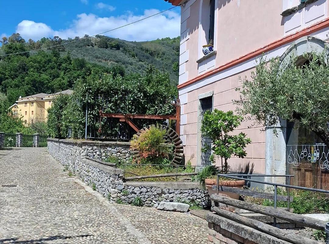 Sagra della Nocciola 2026 a Giffoni Valle Piana: programma, date e novità