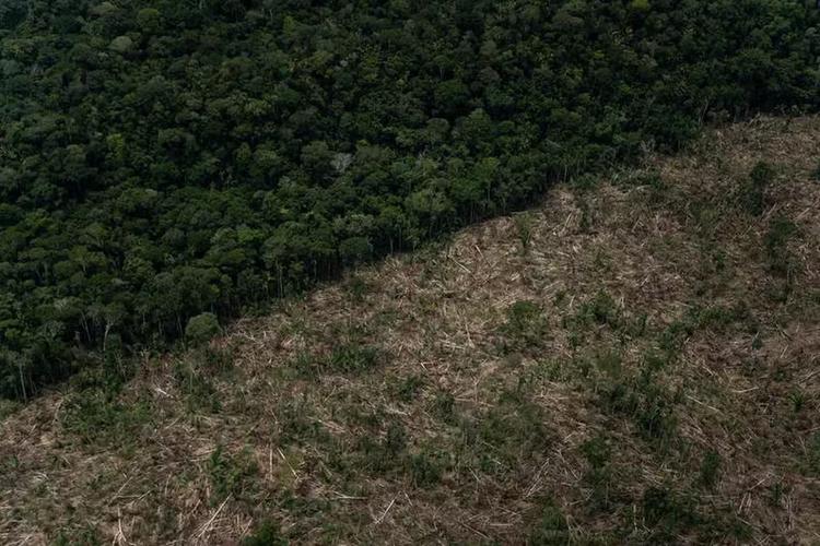 Falta de emprego e renda impulsiona desmatamento no Amazonas, diz estudo
