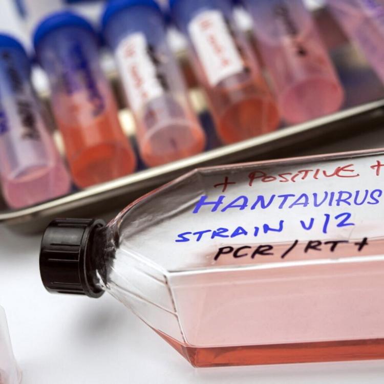 Hantavirus: lo studio ISS‑FBK conferma la bassa capacità epidemica