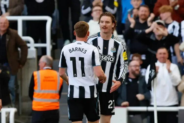 Newcastle 3 West Ham 1 match ratings and comments on all Newcastle United players
