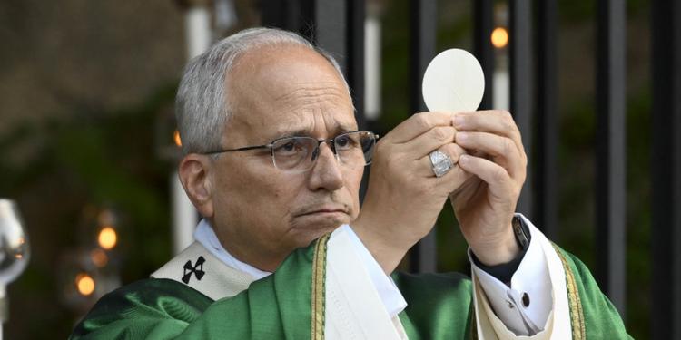 Papa Leone all’Angelus: «Preghiamo per la Terra Santa e le vittime innocenti della guerra»