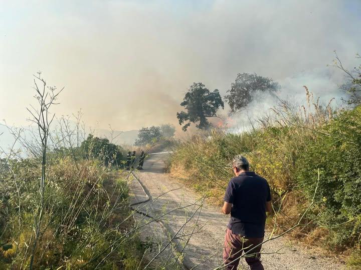 L’Amministrazione Comunale di Roccapalumba esprime la più ferma e convinta condanna per i gravi episodi di piromania che...
