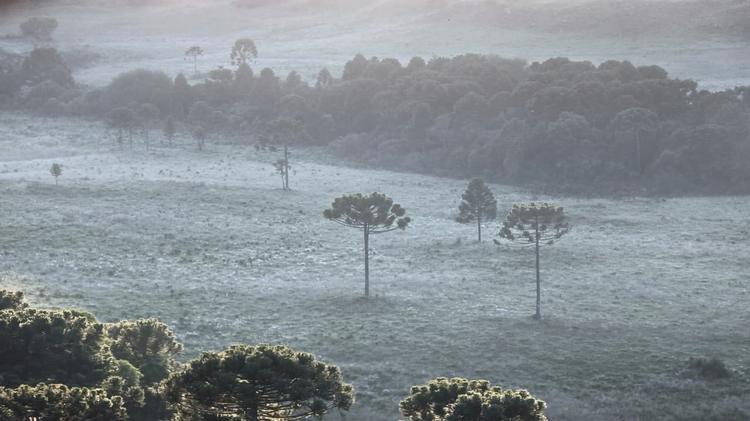 Onda de frio: temperaturas despencam no Centro-Sul do país neste sábado; há chance de chuva congelada nas serras do Sul