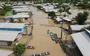 Governo do Amazonas assina decreto que prevê estado de emergência preventivo em decorrência do fenômeno El Niño