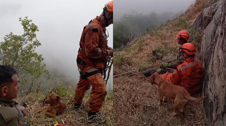 Cachorro fica 17 horas ao lado de bombeiros durante resgate de tutor em serra no Ceará