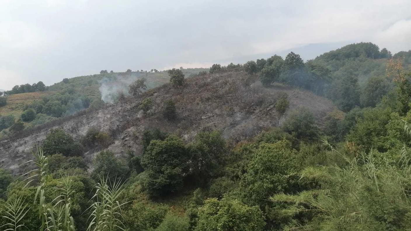 Nuovo incendio a Vibonati: fiamme in località Grasso, necessario l’intervento dell’elicottero regionale