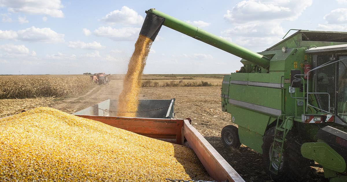 Agronegócio brasileiro amplia desafio de manter competitividade ao alcançar R$ 3,2 tri