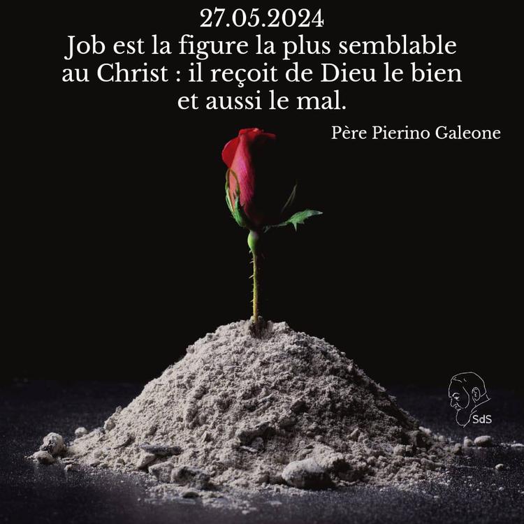 27.05.2024
Job est la figure la plus semblable au Christ : il reçoit de Dieu le bien et aussi le mal.

Père Pierino Galeone